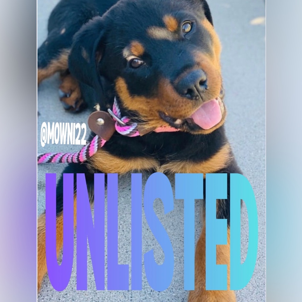 Unlisted Item